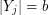 $ |Y_j|=b $