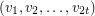 $ (v_1,v_2,\dots,v_{2t}) $