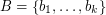 $ B = \{b_1,\ldots,b_k\} $